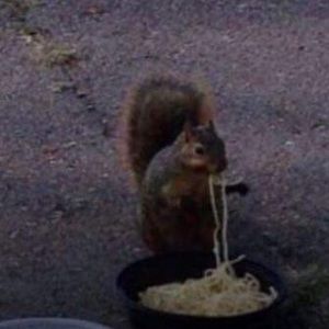 Meet your Posher, Cuinn